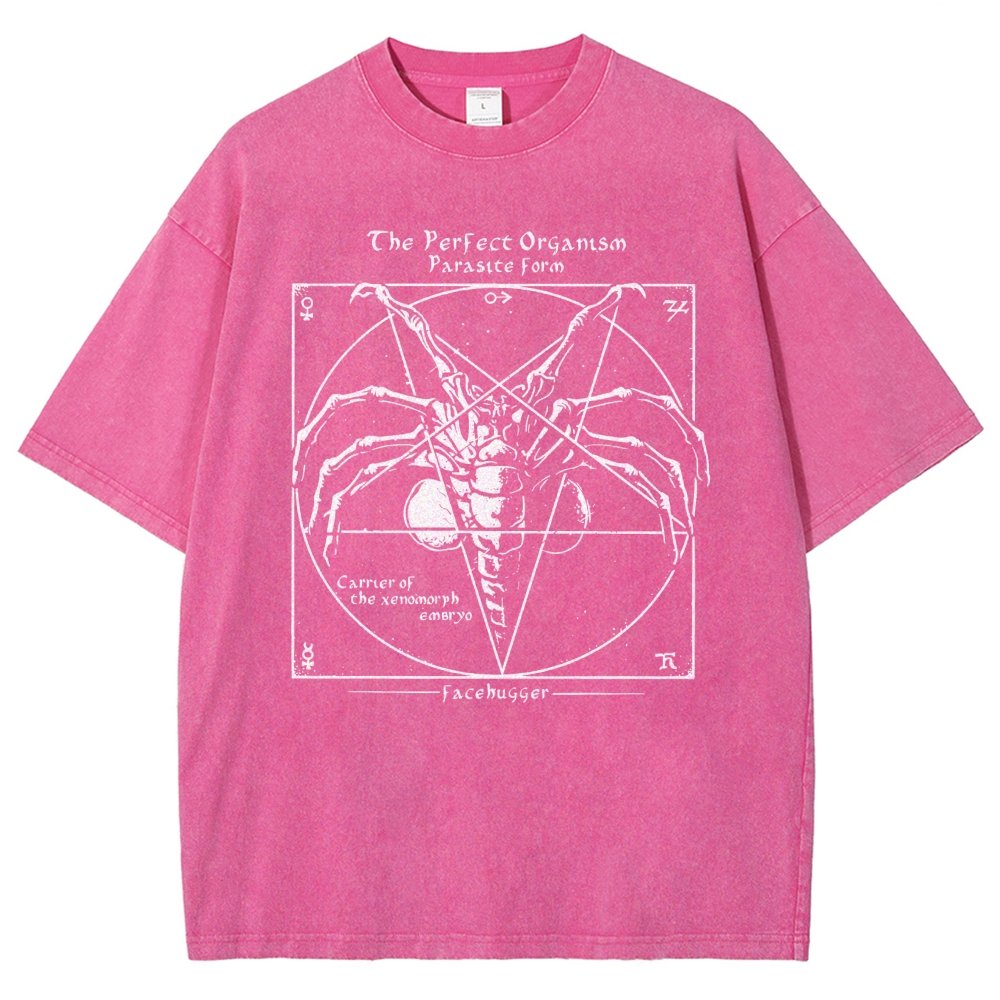 Mystery Pentagram Vintage Distressed T-shirt