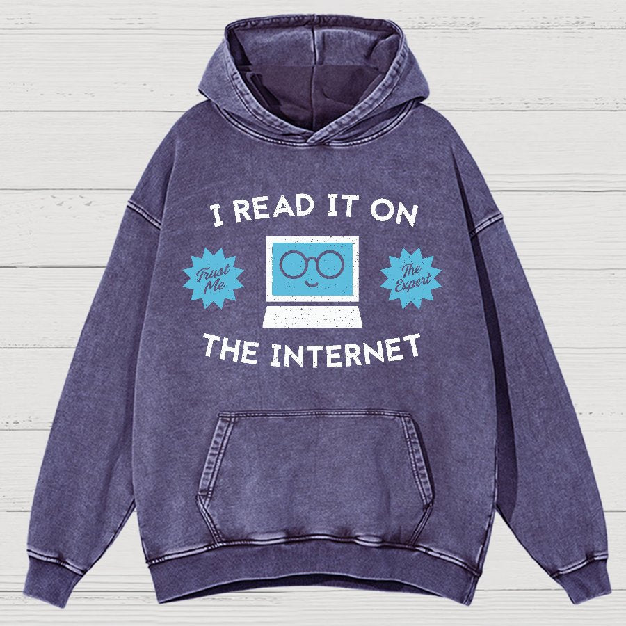I'm An Internet Expert Vintage Distressed Hoodie