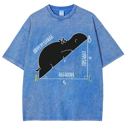 Interesting Math Teacher Math Lover Math Geek Vintage Distressed T-shirt