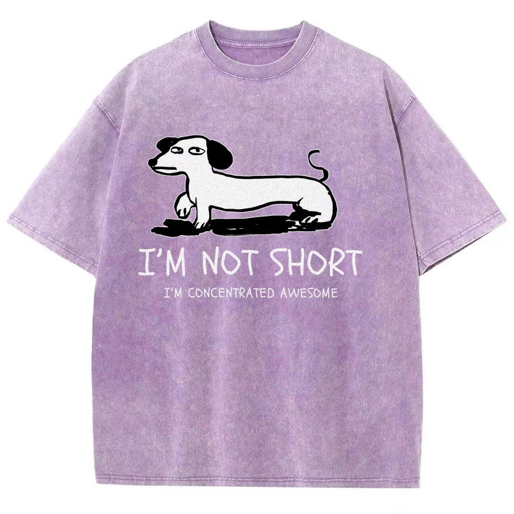 I'm Not Short Vintage Distressed T-shirt