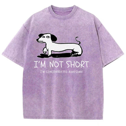 I'm Not Short Vintage Distressed T-shirt