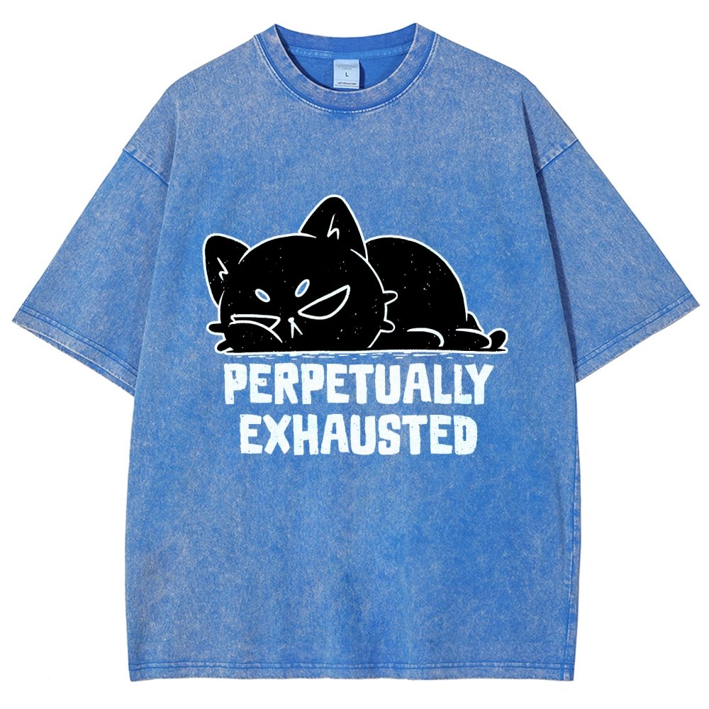 Perpetually Exhausted Cat Vintage Distressed T-shirt