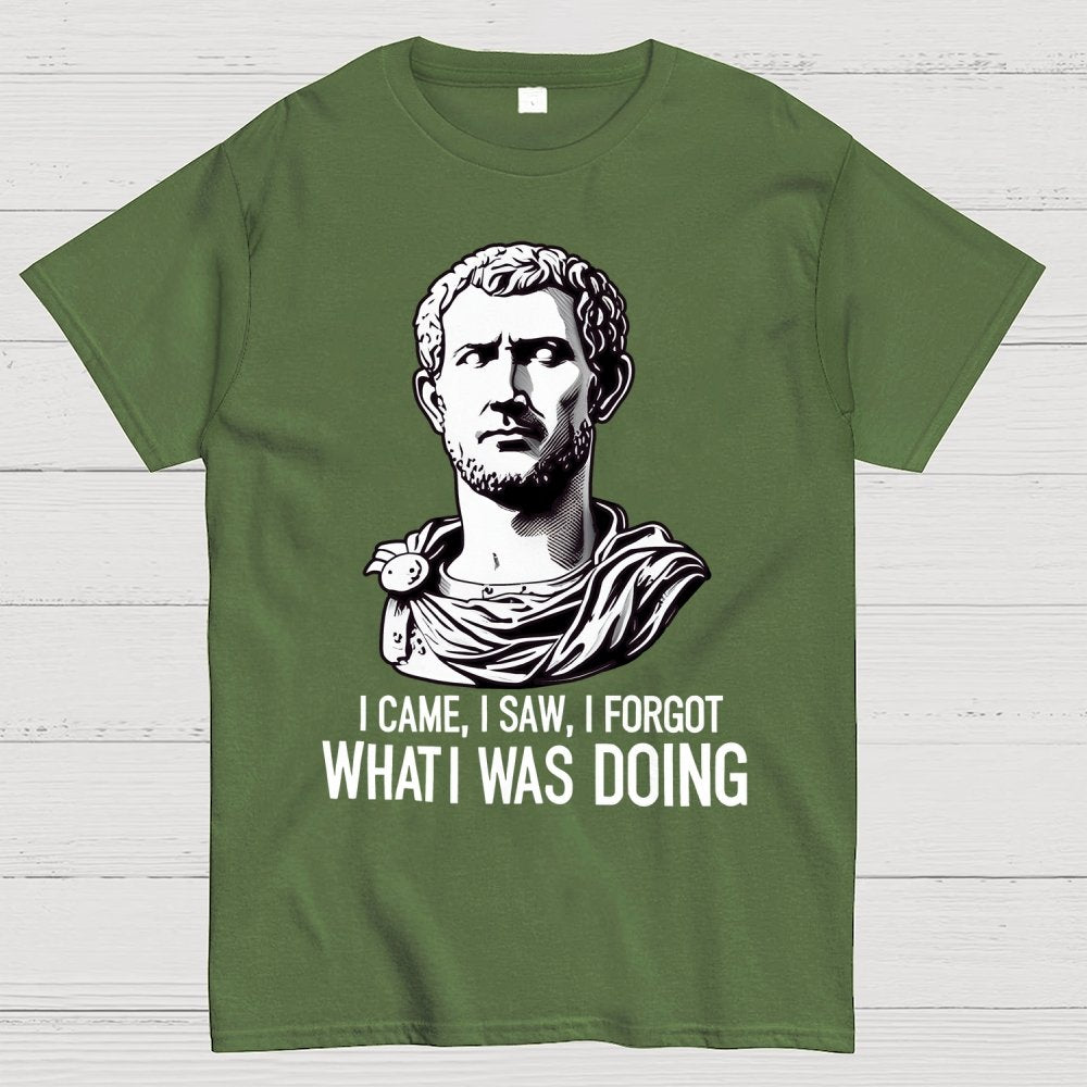 I Came  I saw  I forgot What I was Doing Geek T-Shirt