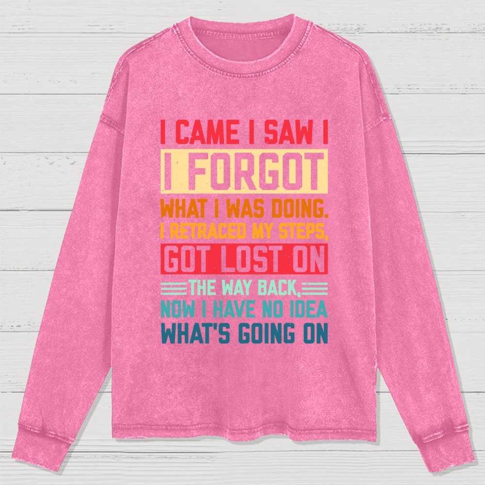 I Came I Saw I Forgot What I Was Doing Sarcastic Washed Long Sleeve Tee