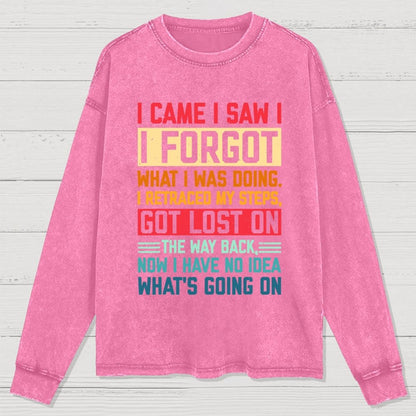 I Came I Saw I Forgot What I Was Doing Sarcastic Washed Long Sleeve Tee