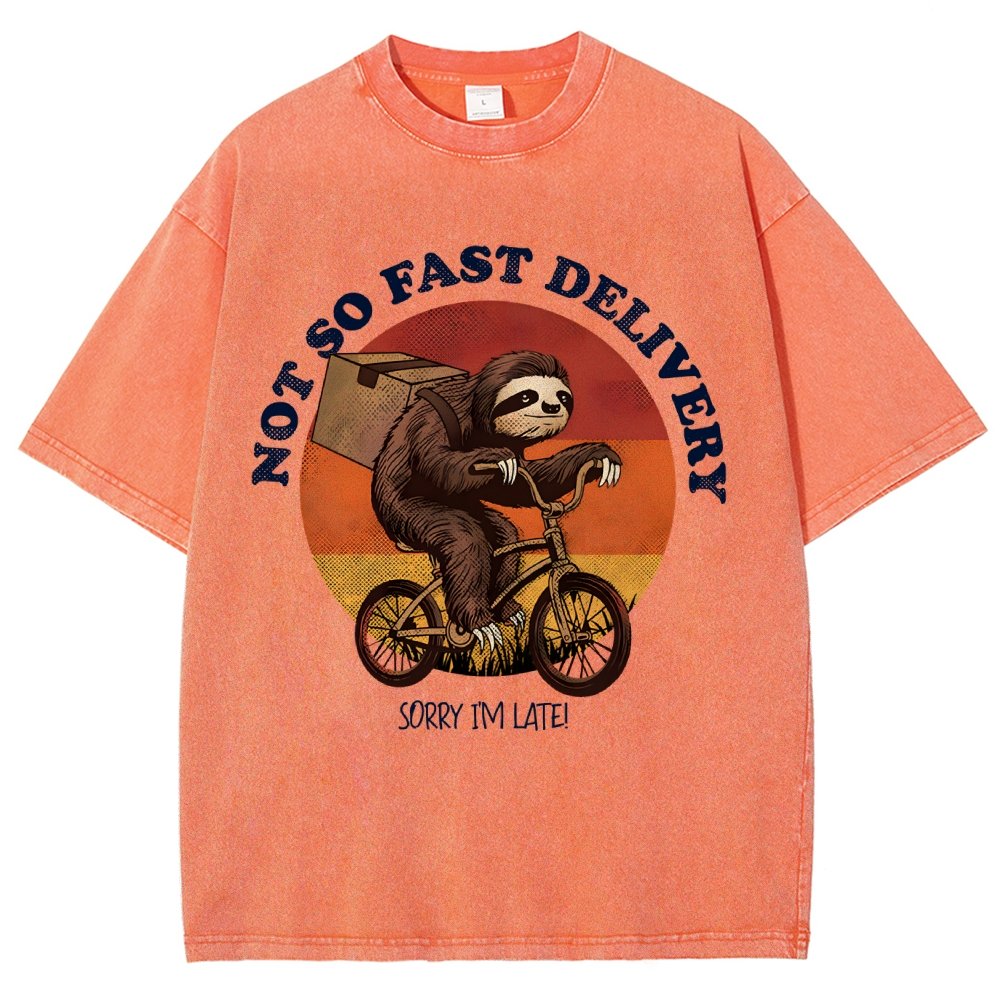 Not So Express Delivery Vintage Distressed T-shirt
