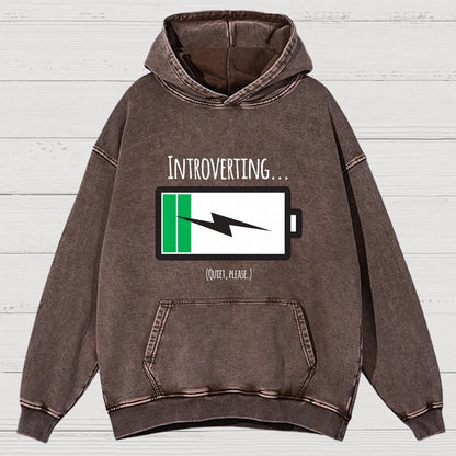 Introverting Vintage Distressed Hoodie