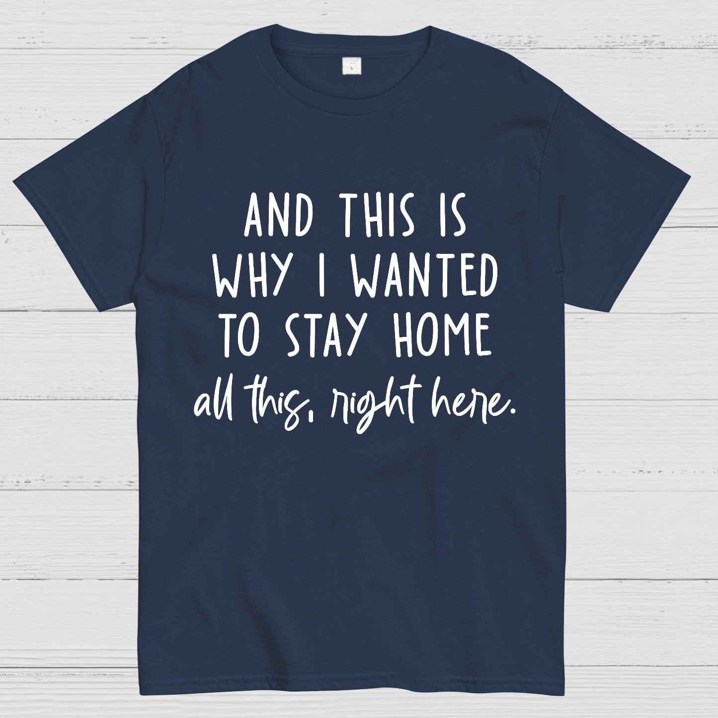 Sarcastic Introvert And This Is Why I Wanted To Stay Home Geek T-Shirt