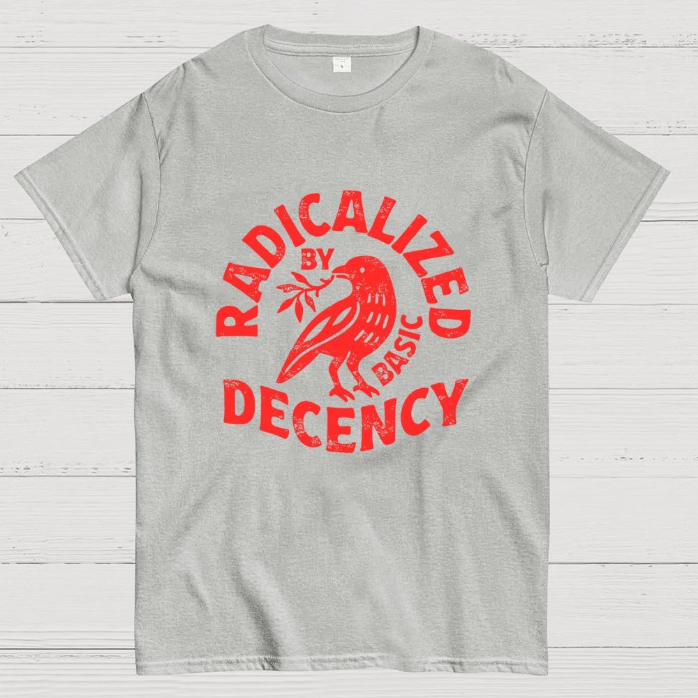 Radicalized By Basic Decency Geek T-Shirt