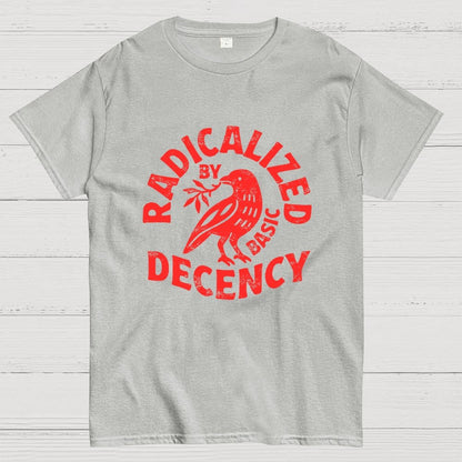 Radicalized By Basic Decency Geek T-Shirt