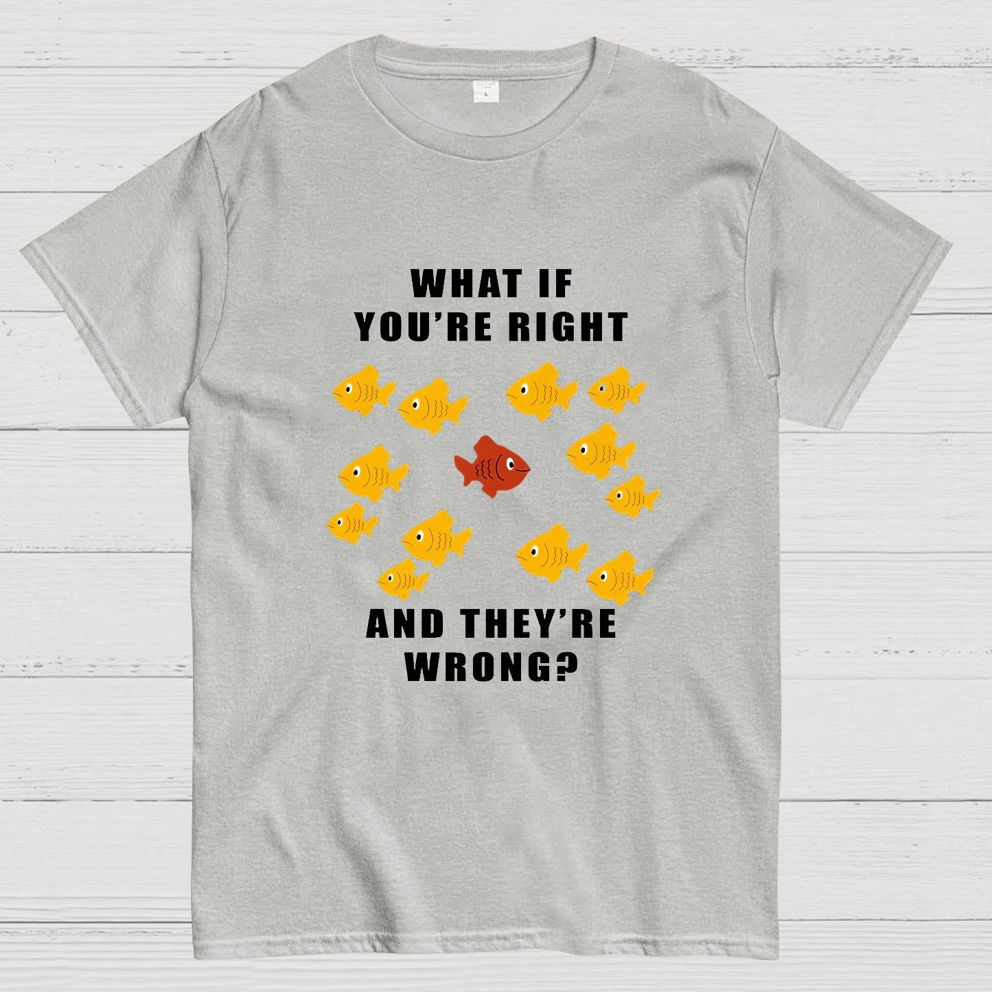 What If You're Right And They're Wrong Geeky T-Shirt