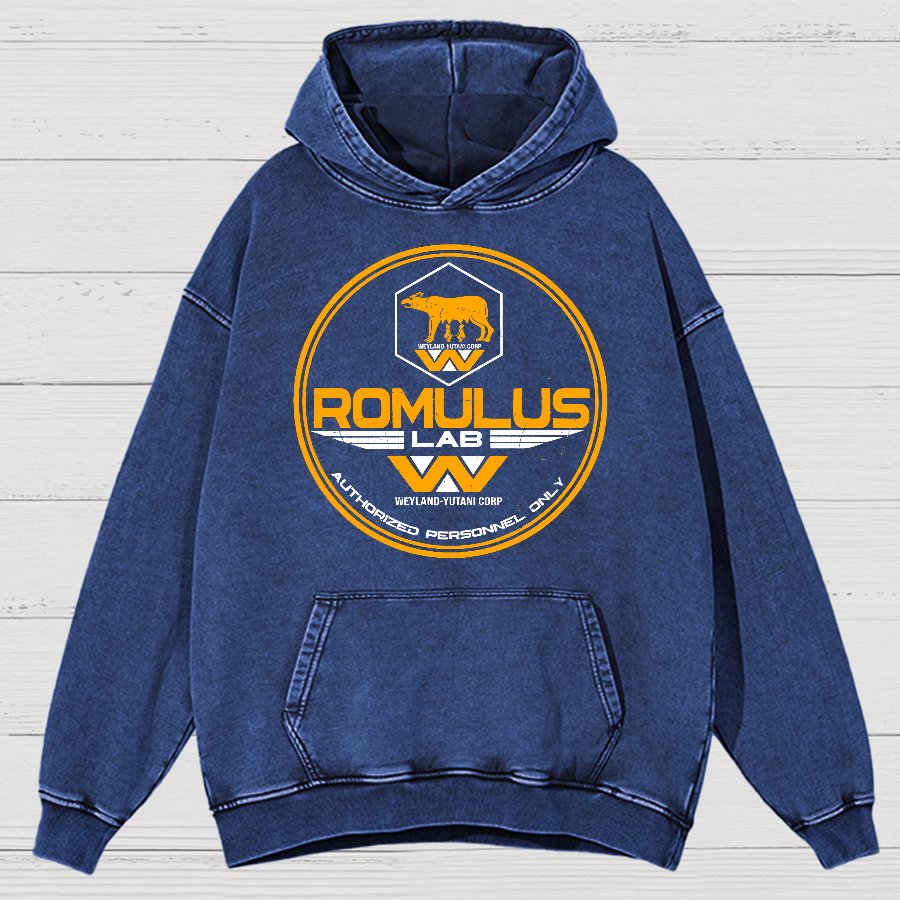 Aurora Lab Vintage Distressed Hoodie