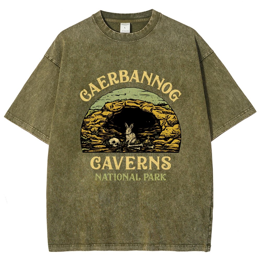 Mystic Caverns National Park Vintage Distressed T-shirt