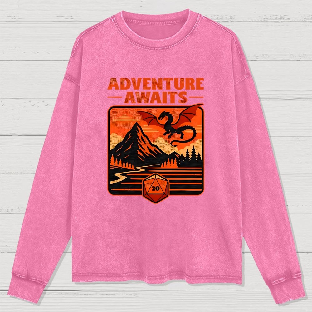 RPG Vintage Adventure Dragon Washed Long Sleeve Tee