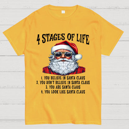 4 Stages Of Life Funny Christmas Geek T-Shirt