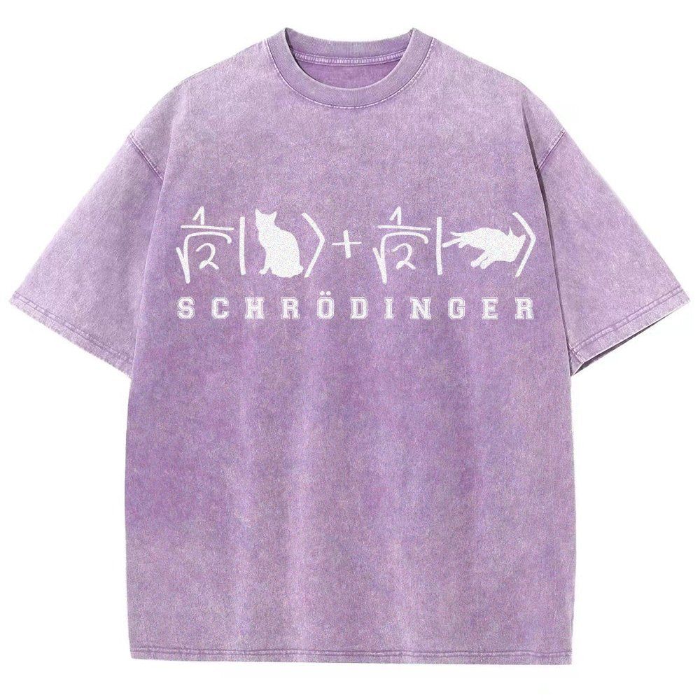 Schrödinger's Cat Vintage Distressed T-shirt