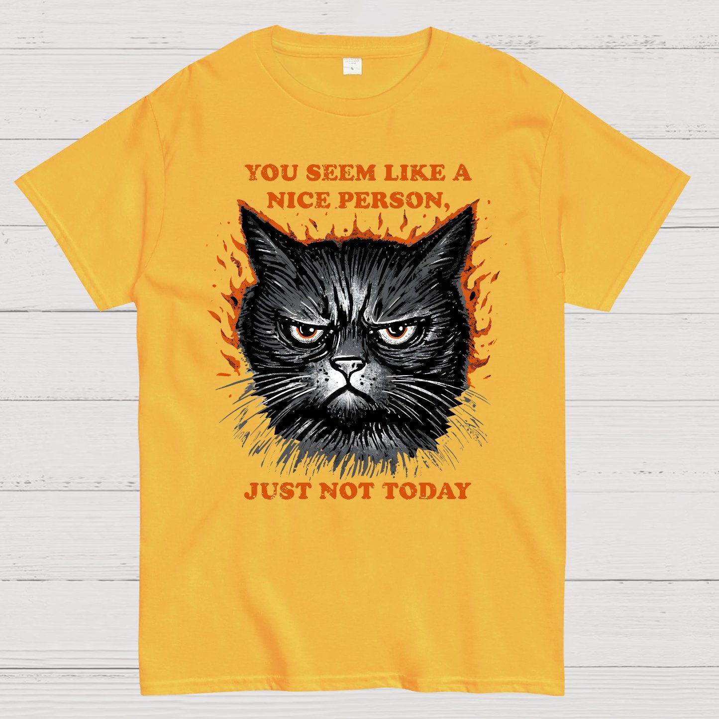 Nice Person Geek T-Shirt