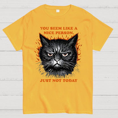 Nice Person Geek T-Shirt