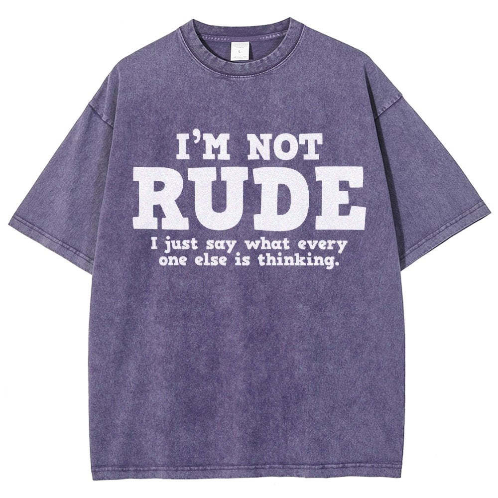 I'm not Rude I Just Have The Balls to Say What Everyone Else is Thinking Vintage Distressed T-shirt