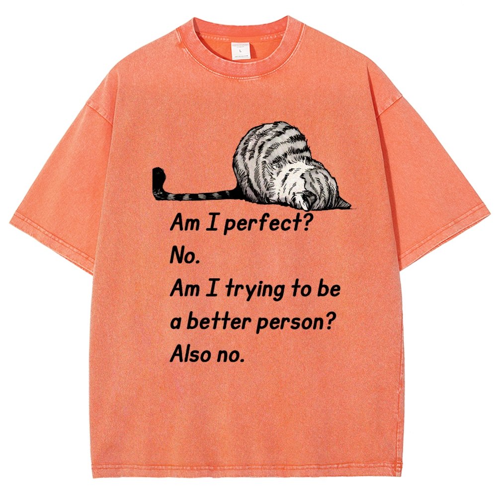Am I Perfect No Vintage Distressed T-shirt