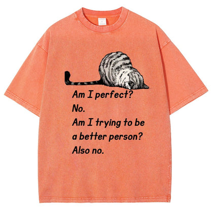Am I Perfect No Vintage Distressed T-shirt