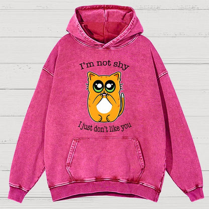 Not Shy Vintage Distressed Hoodie