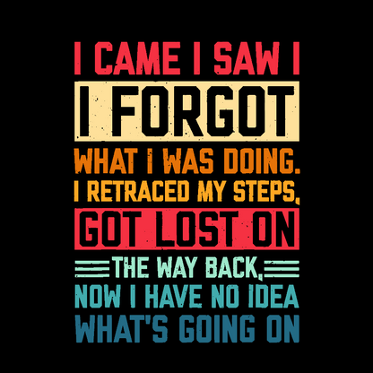 I Came I Saw I Forgot What I Was Doing Sarcastic Geek T-Shirt