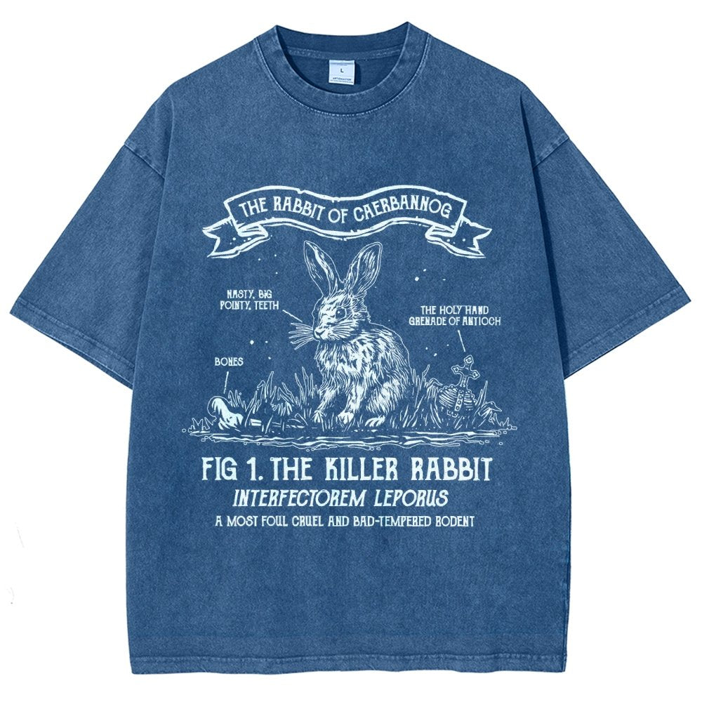The Rabbit of Mysterious Place Vintage Distressed T-shirt