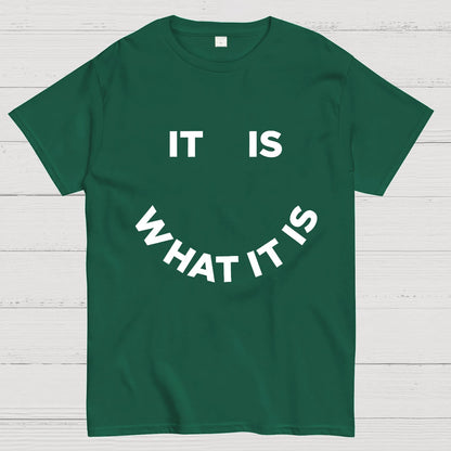 It Is What It Is Geeky T-Shirt