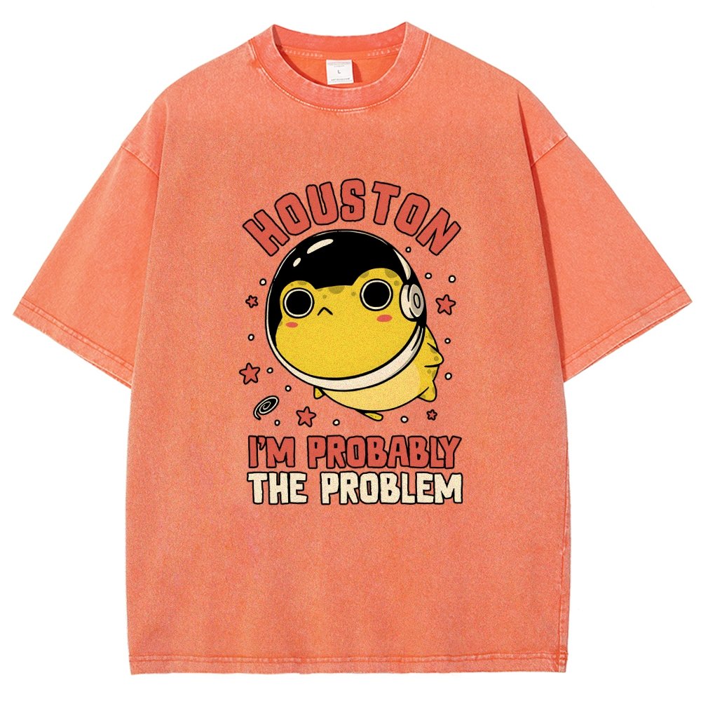 Houston Im Probably The Problem Vintage Distressed T-shirt