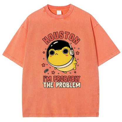 Houston Im Probably The Problem Vintage Distressed T-shirt