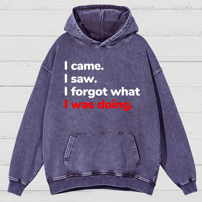 I Came. I Saw. I Forgot What I Was Doing Vintage Distressed Hoodie