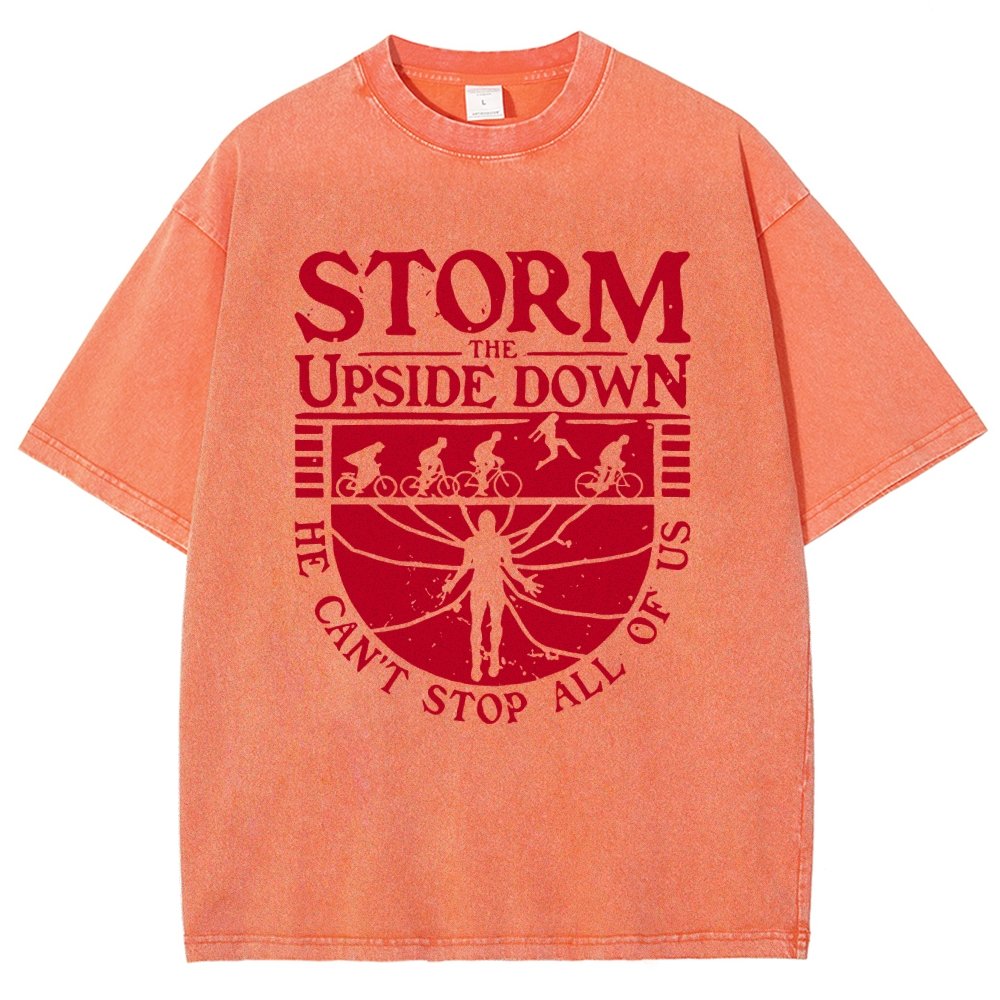 Storm The Mysterious Realm Vintage Distressed T-shirt