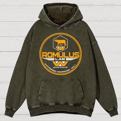 Aurora Lab Vintage Distressed Hoodie
