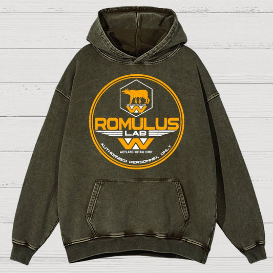 Aurora Lab Vintage Distressed Hoodie