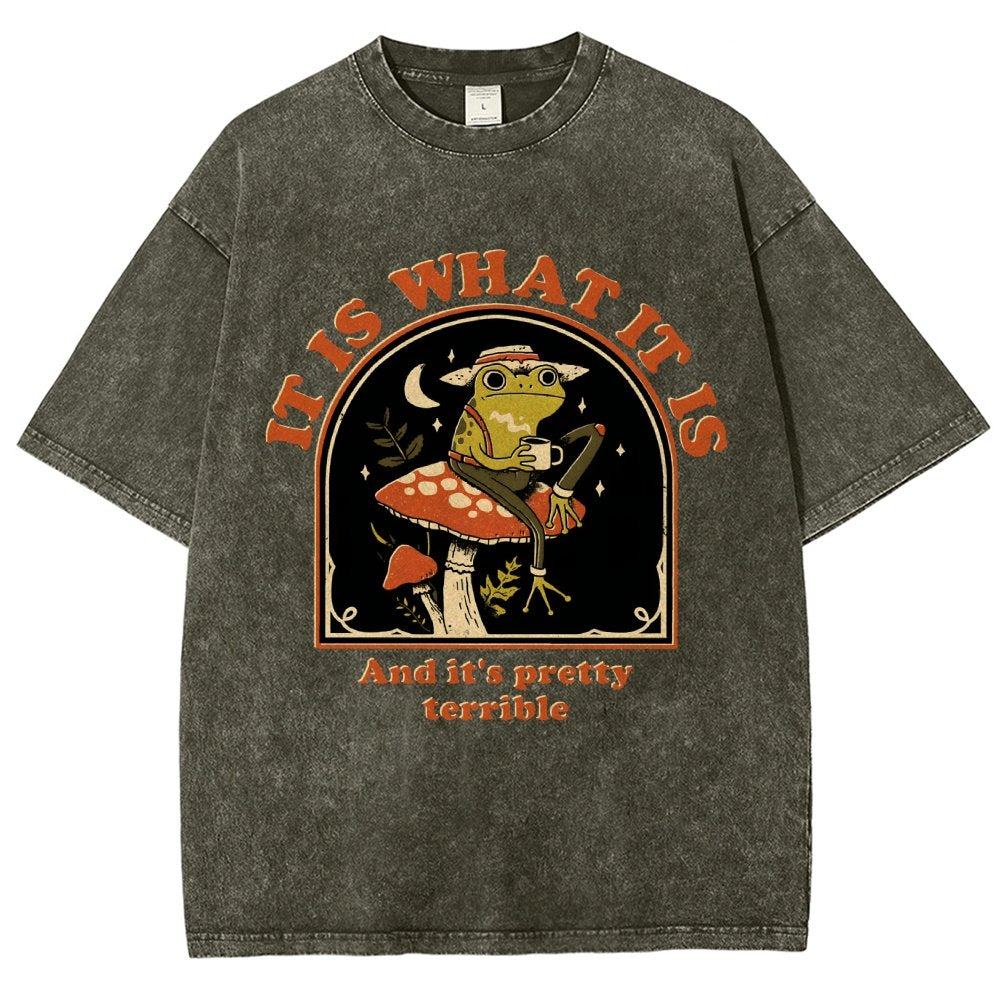 It Is What It Is And It's Pretty Terrible Vintage Distressed T-shirt