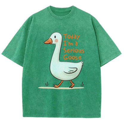 Today I’m A Serious Goose Vintage Distressed T-shirt