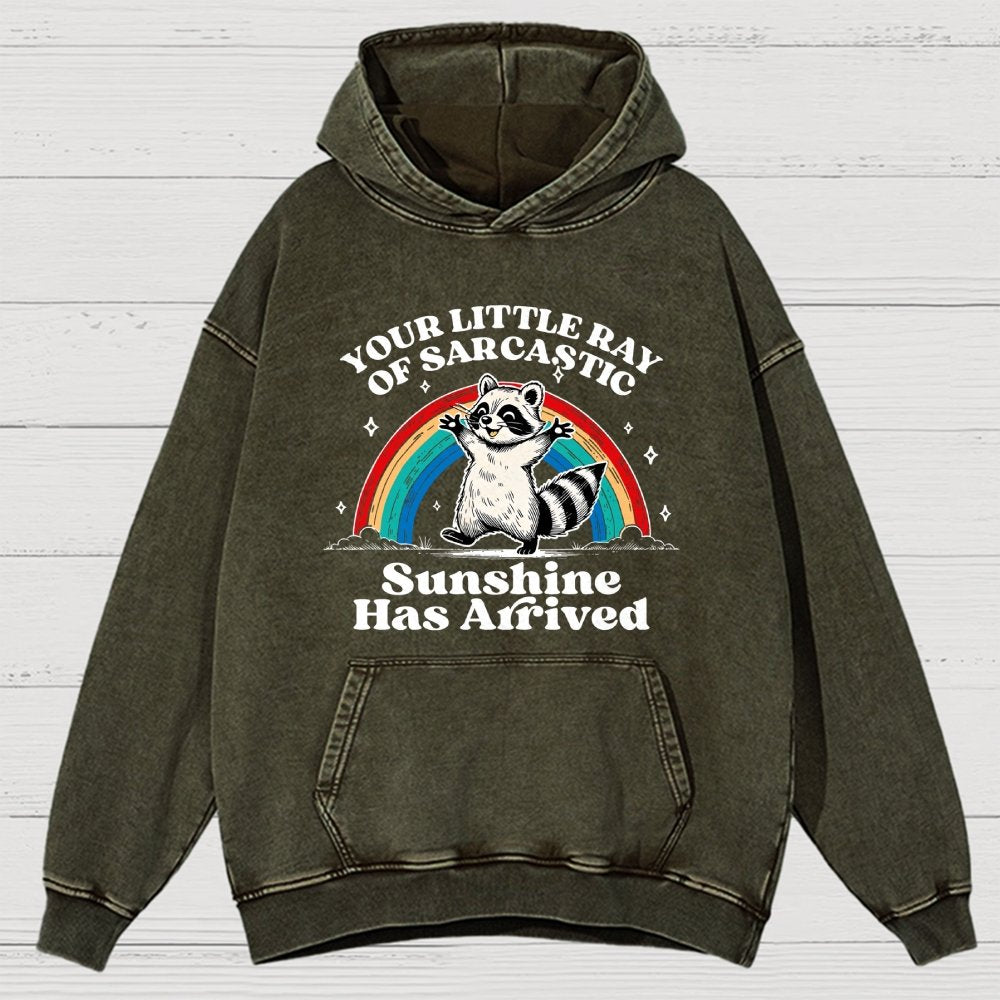 Your Little Ray of Sarcastic Sunshine Has Arrived Vintage Distressed Hoodie