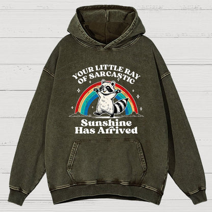 Your Little Ray of Sarcastic Sunshine Has Arrived Vintage Distressed Hoodie