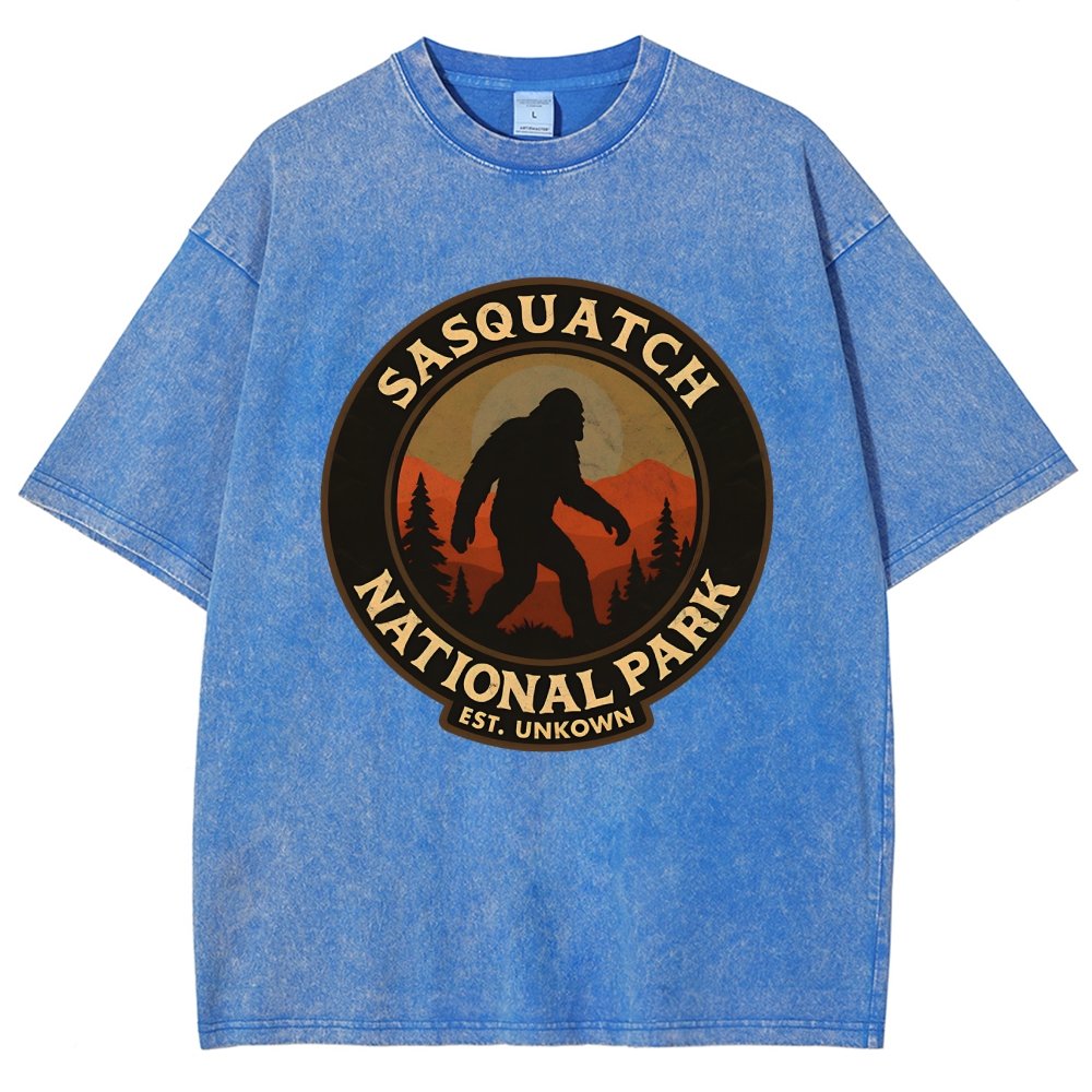 Sasquatch National Park Vintage Distressed T-shirt
