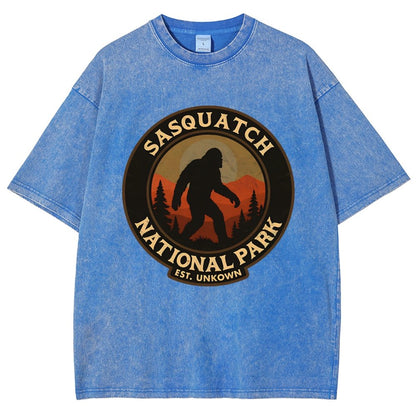 Sasquatch National Park Vintage Distressed T-shirt