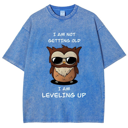 Leveling Up Vintage Distressed T-shirt