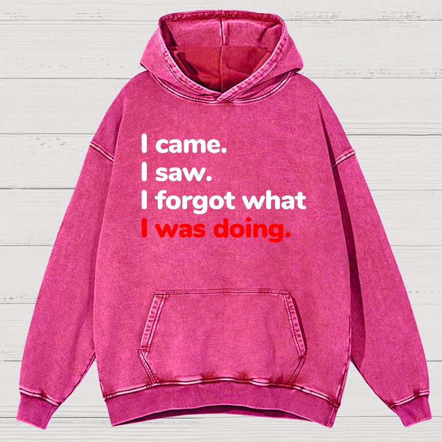 I Came. I Saw. I Forgot What I Was Doing Vintage Distressed Hoodie