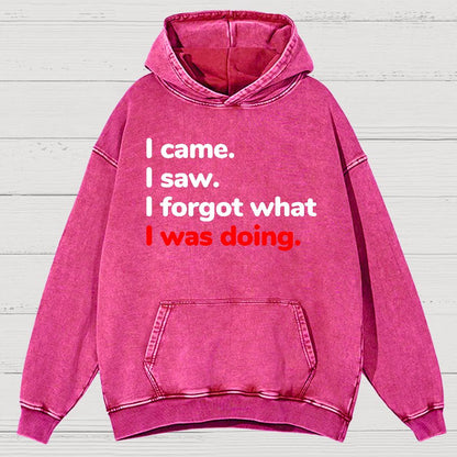 I Came. I Saw. I Forgot What I Was Doing Vintage Distressed Hoodie