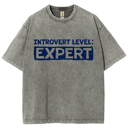 Introvert Level:Expert Vintage Distressed T-shirt