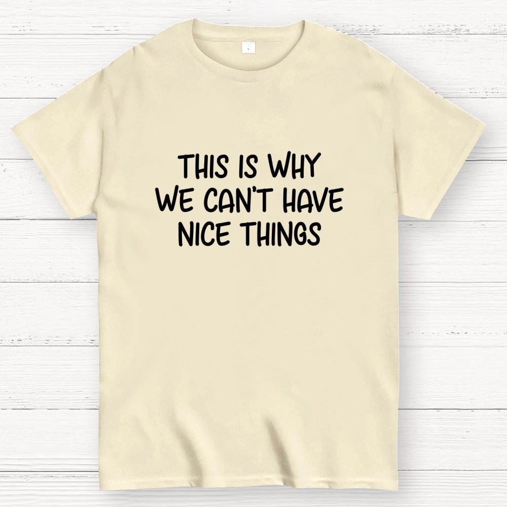 This is Why We Can't Have Nice Things Geek T-Shirt