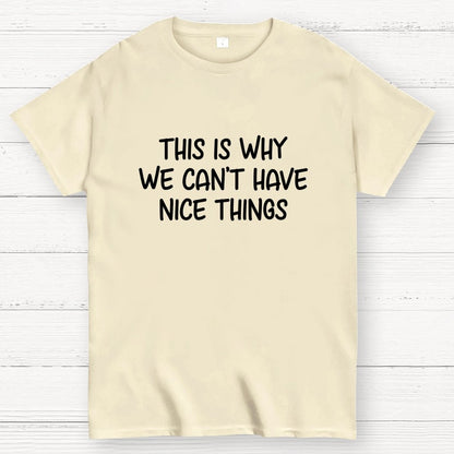 This is Why We Can't Have Nice Things Geek T-Shirt
