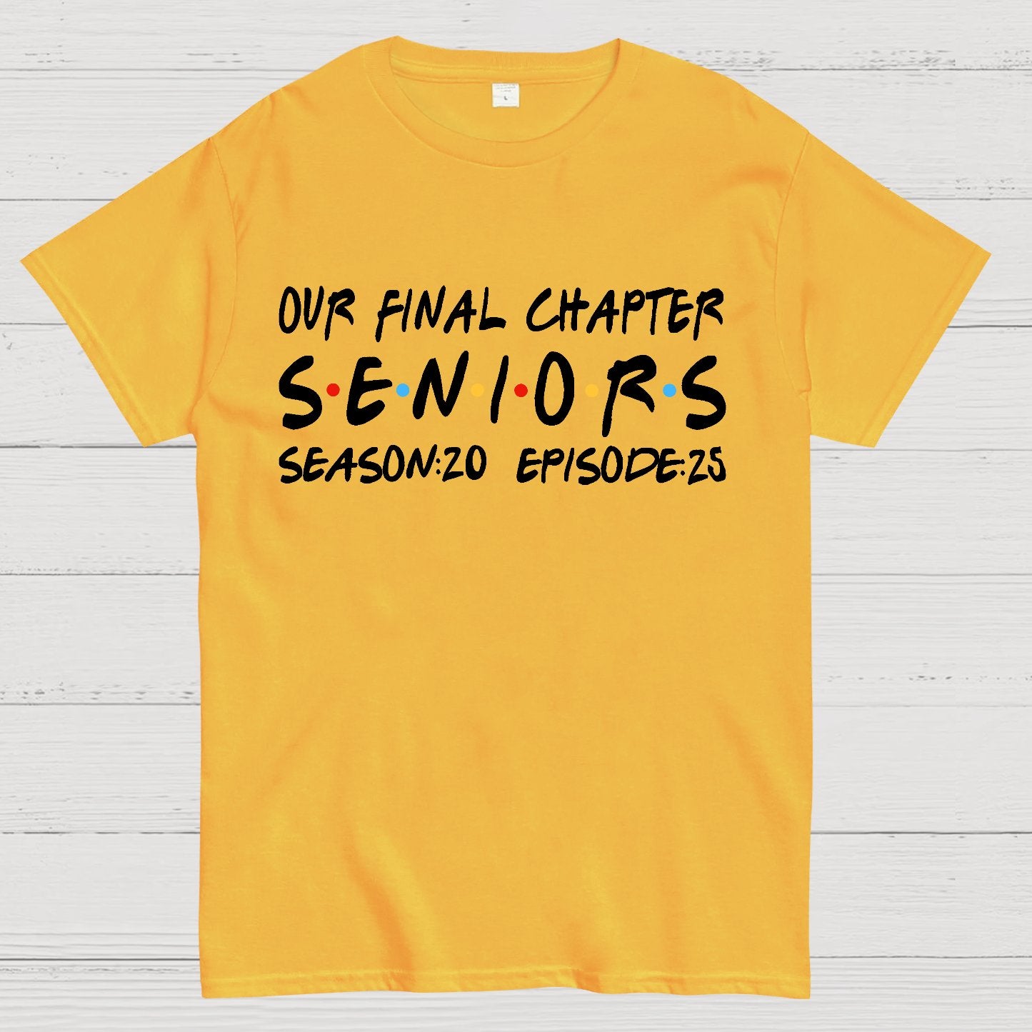 Our Final Chapter Seniors 2025 Geek T-Shirt
