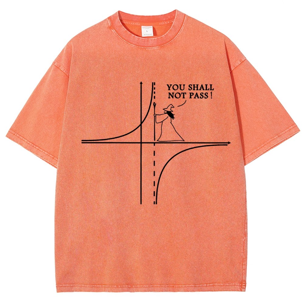 You Shall Not Pass Vintage Distressed T-shirt
