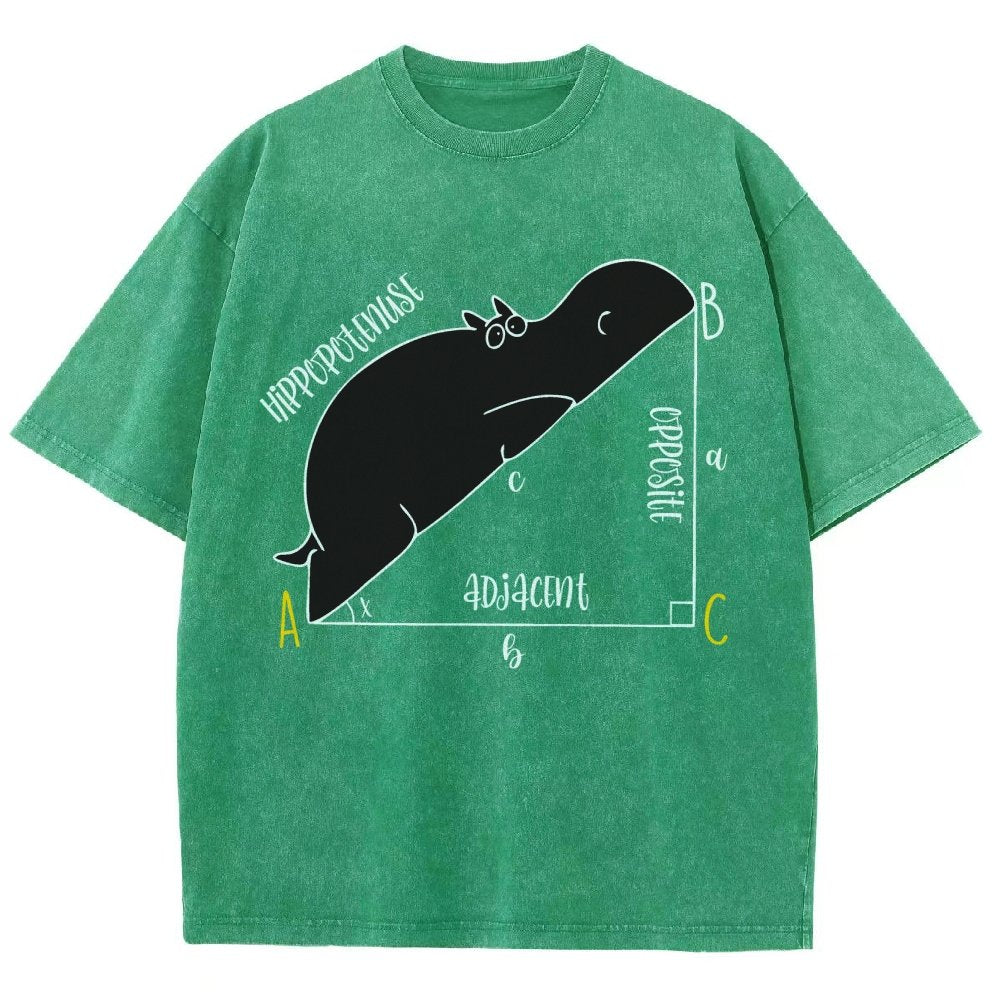 Interesting Math Teacher Math Lover Math Geek Vintage Distressed T-shirt